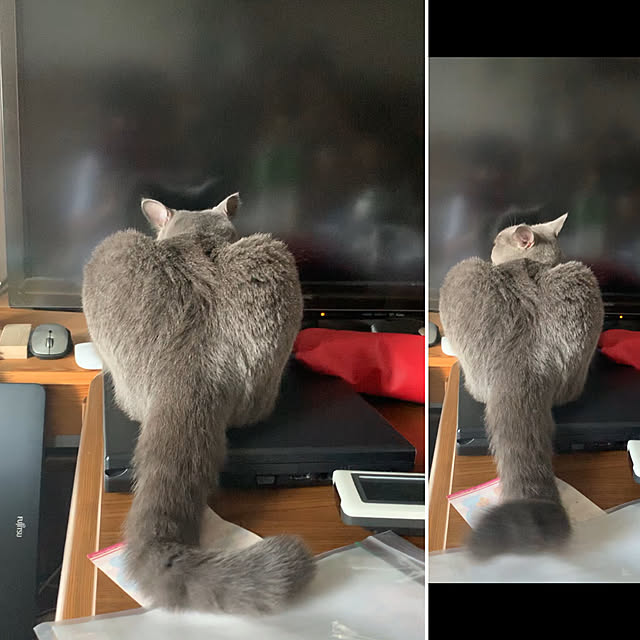 masaさんの実例写真