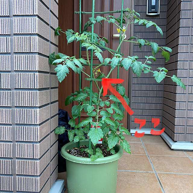 Tsunanさんの実例写真
