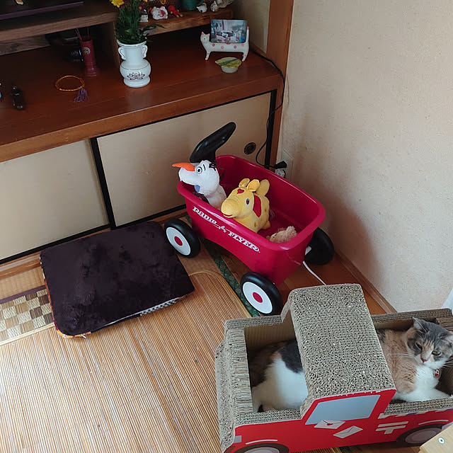 fukuさんの実例写真