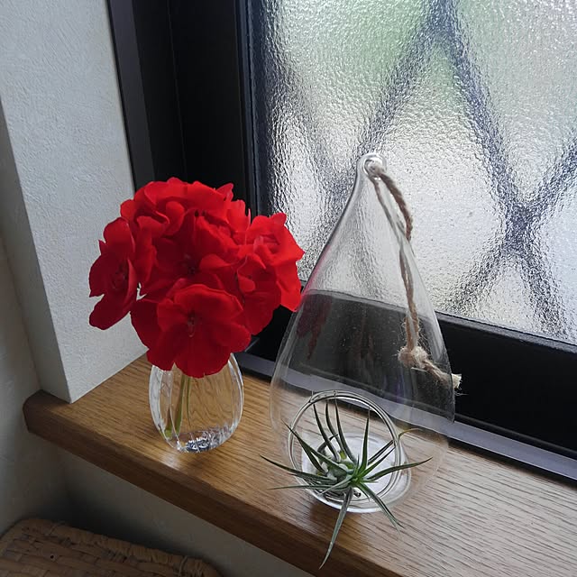 cozylifeさんの実例写真