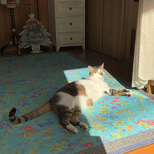 haruminさんの実例写真
