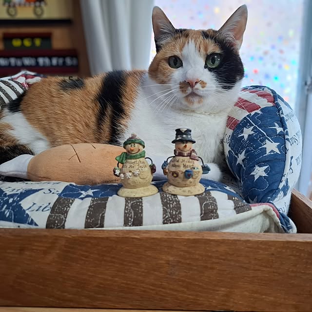 nanaさんの部屋