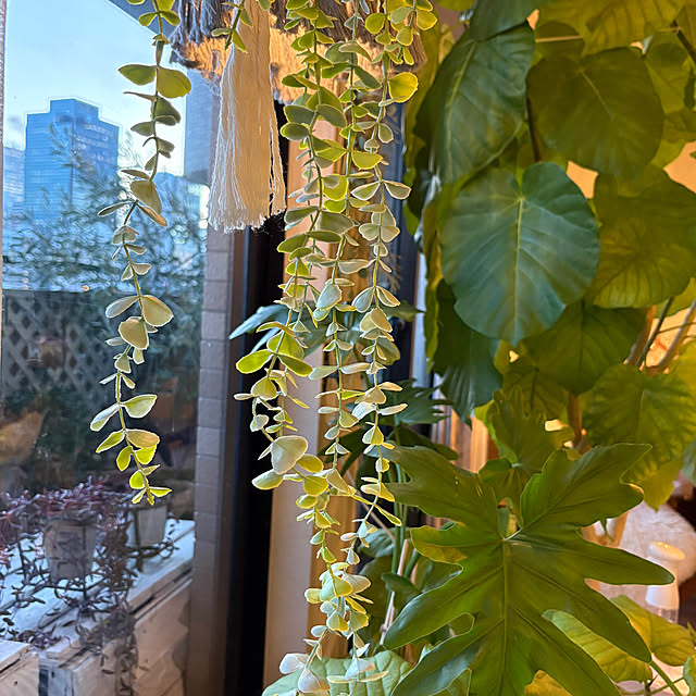 momo_sanさんの部屋