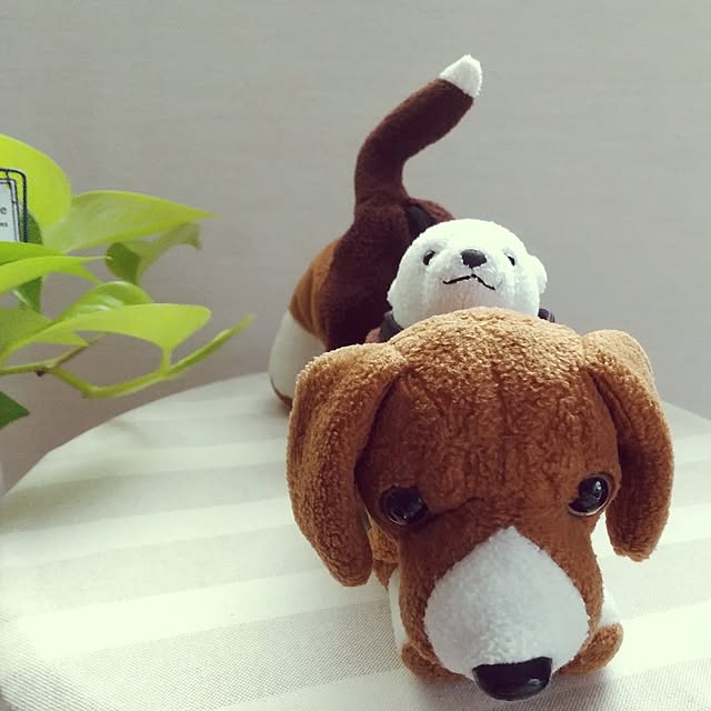 meiさんの部屋
