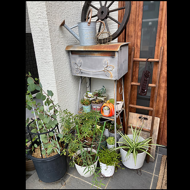 anko.hibuさんの実例写真