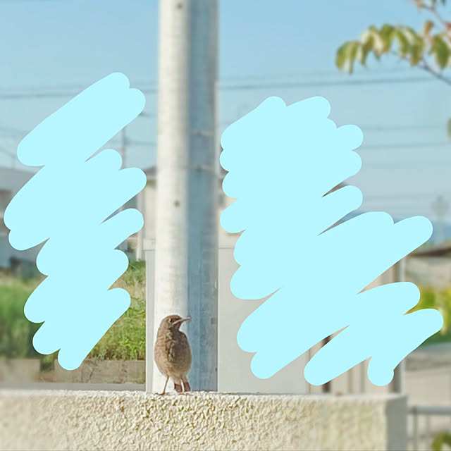 fumofumoさんの実例写真