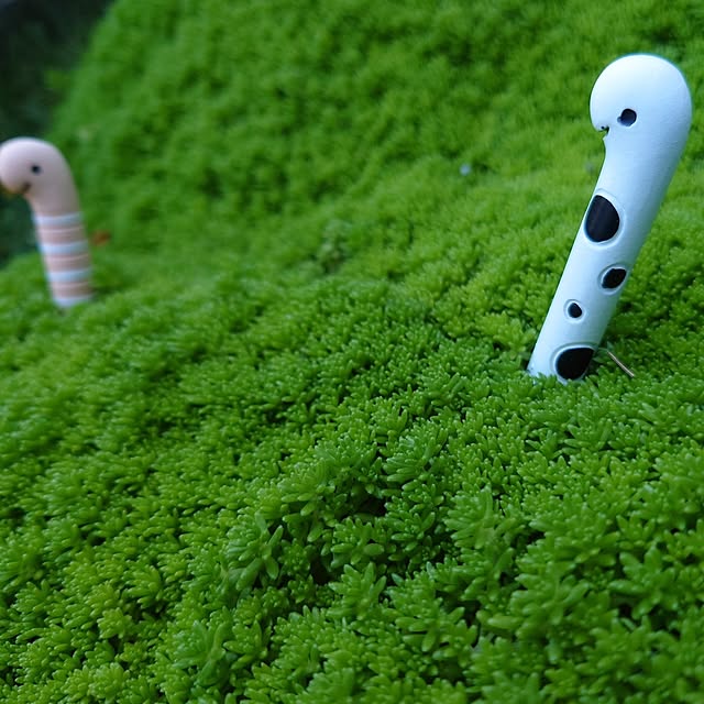 shi-saさんの実例写真