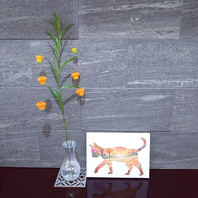 jkabmymycatさんの実例写真