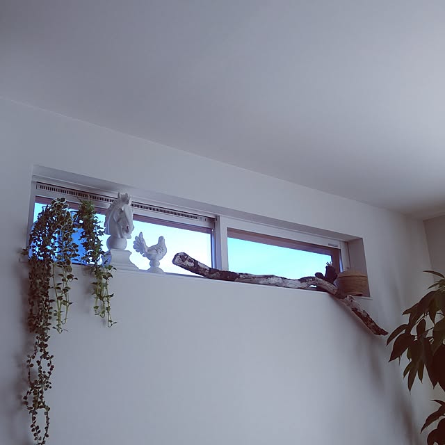 ayakoさんの実例写真