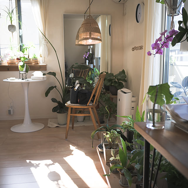 部屋全体/わが家の好きな風景/一人暮らし/ひとり暮らし/癒しの時間...などのインテリア実例 - 2024-05-04 08:21:45