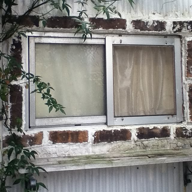 korinoさんの実例写真