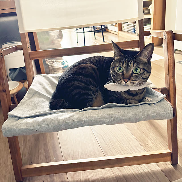 masamasaさんの部屋