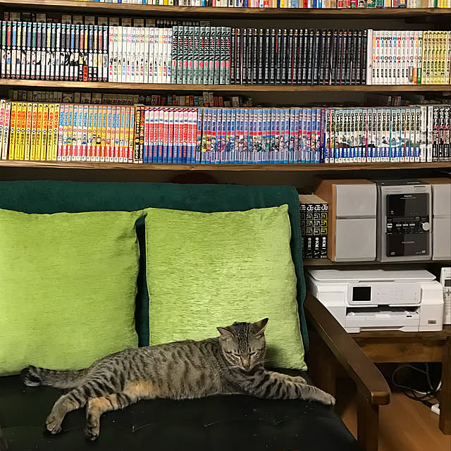 mikan161さんの実例写真