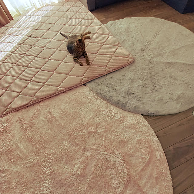 p-p-maruさんの実例写真