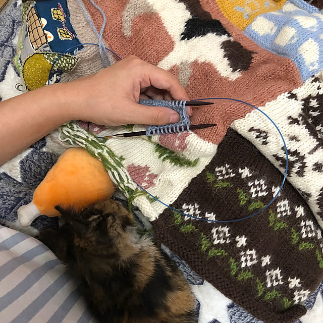 Myulinさんの実例写真
