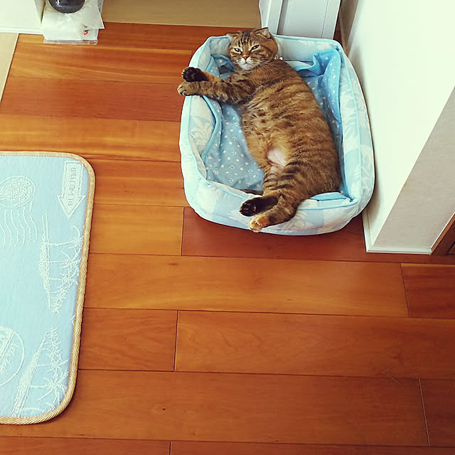 Y.Gさんの実例写真