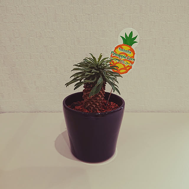 rinaさんの実例写真