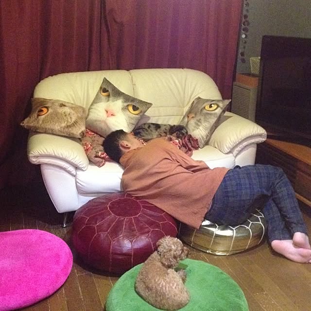 Kikoさんの実例写真