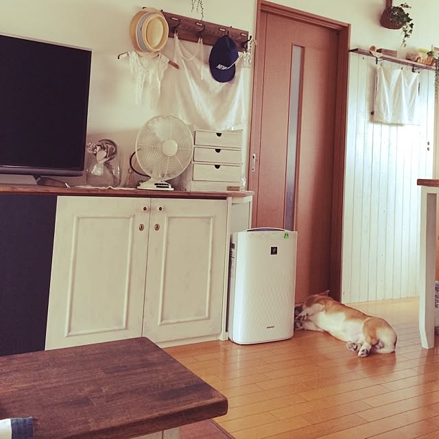 noraさんの実例写真