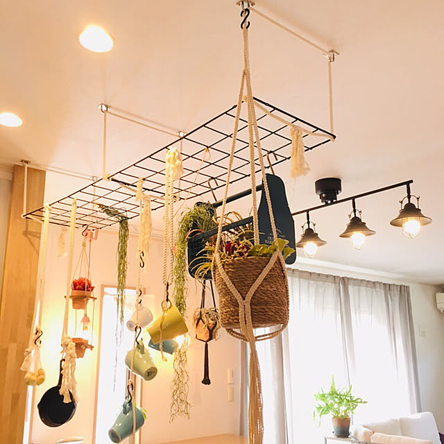 壁/天井/天井/DIY/観葉植物/niko and…...などのインテリア実例 - 2019-02-15 12:39:35