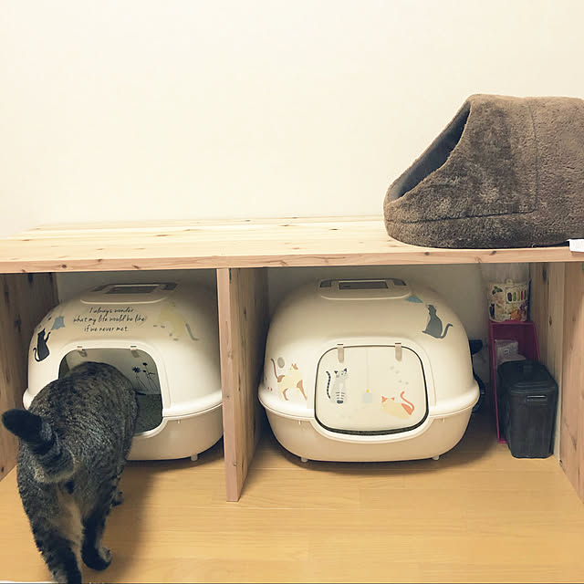 cha-ruさんの実例写真
