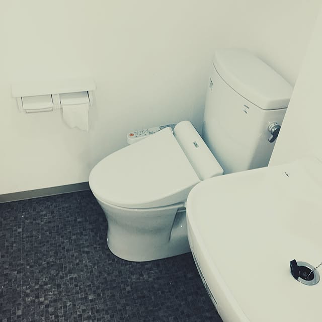 girusonさんの実例写真