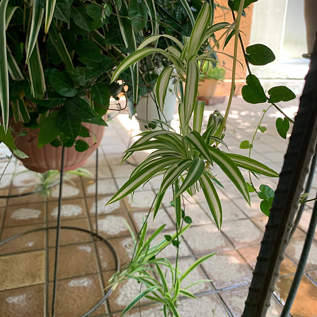 Aqettyさんの部屋