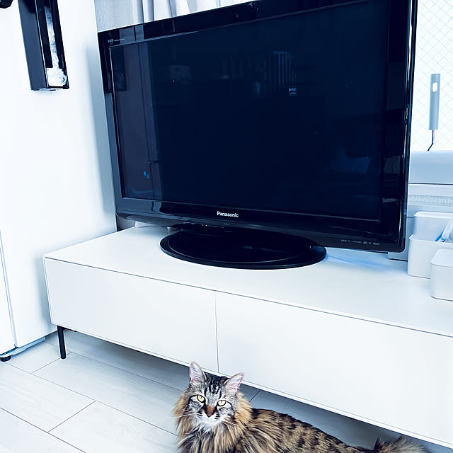 yuuuuuさんの実例写真