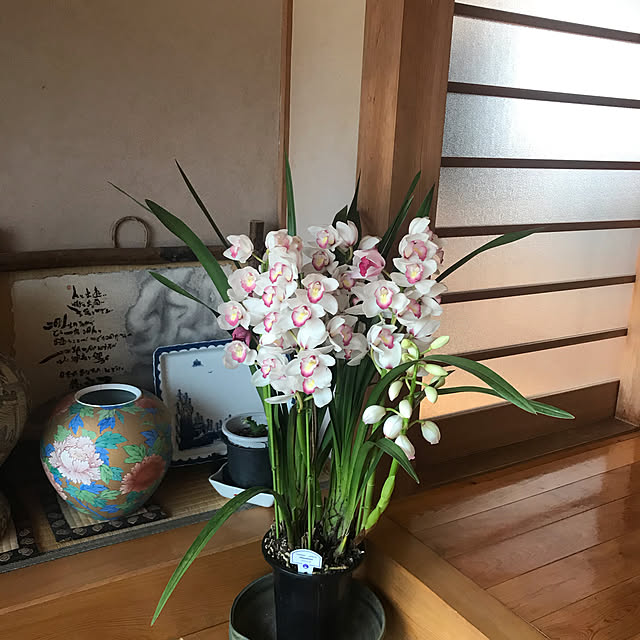 実例写真