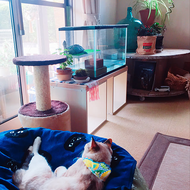 nanaさんの実例写真