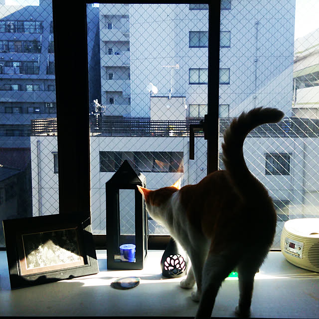 noguchiken0102さんの実例写真