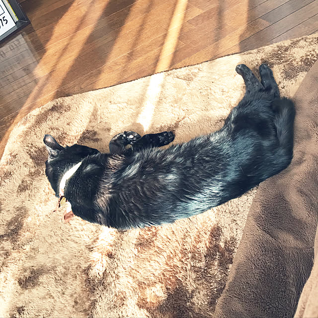 minmiさんの実例写真