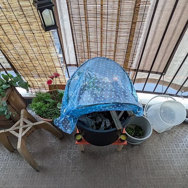 mi-saさんの部屋