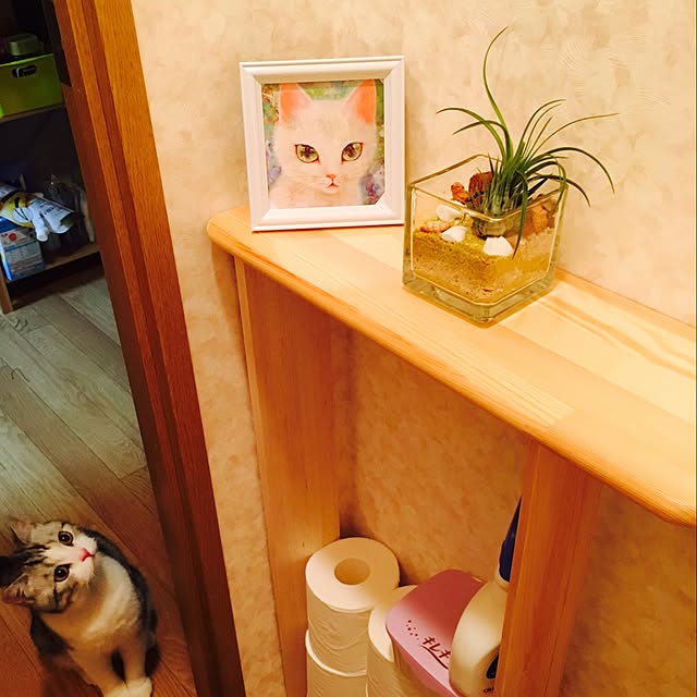 narashimhaさんの実例写真