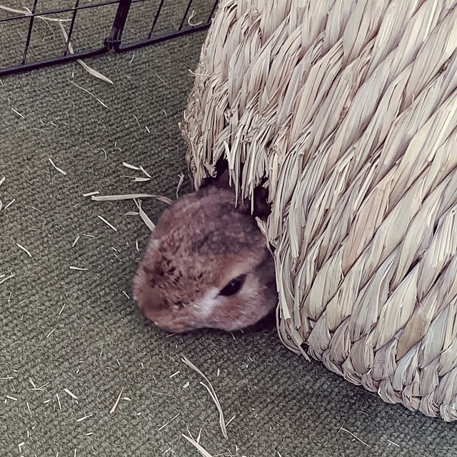 arasannさんの実例写真