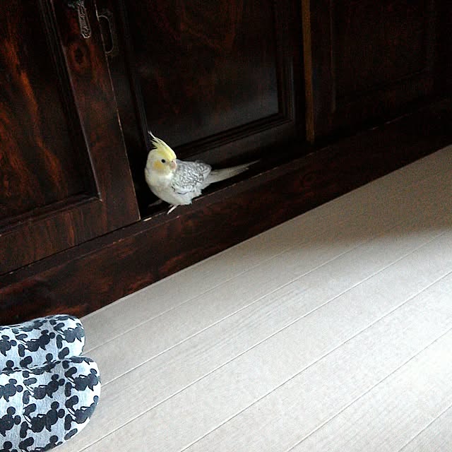 hiroさんの実例写真