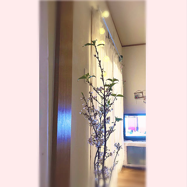 hatsu.0202さんの実例写真