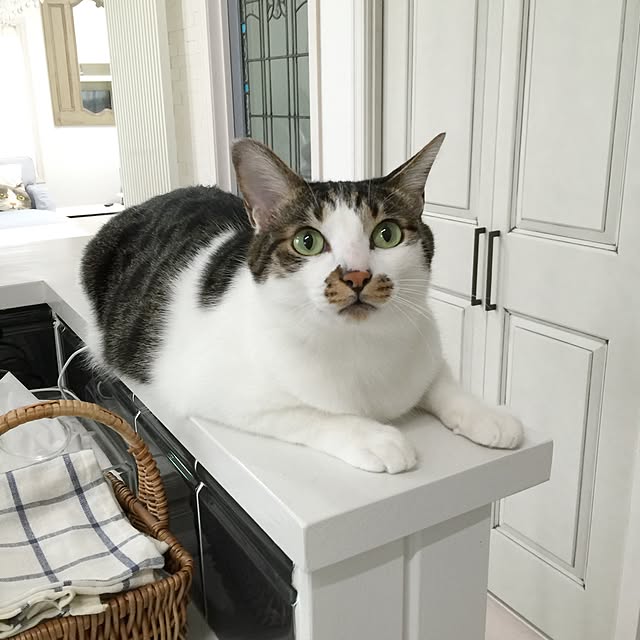 yuchiさんの実例写真