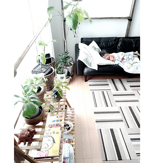 kodaminさんの実例写真