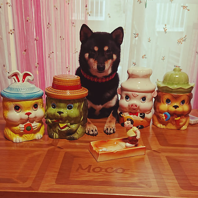 xxxakyxxxさんの実例写真
