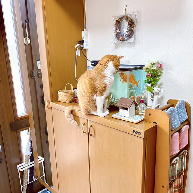 cocomaroさんの実例写真