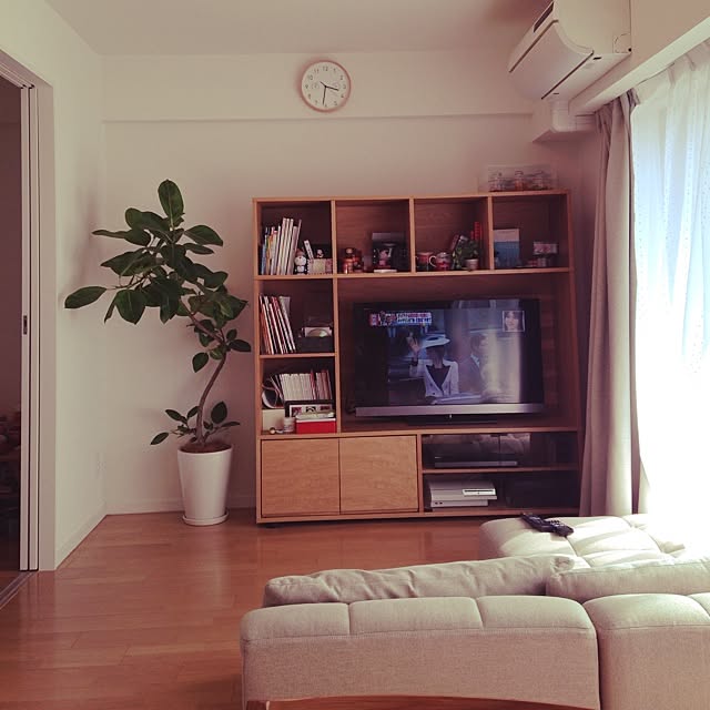 実例写真