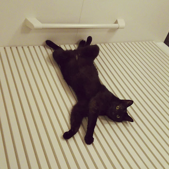 toroankoさんの実例写真