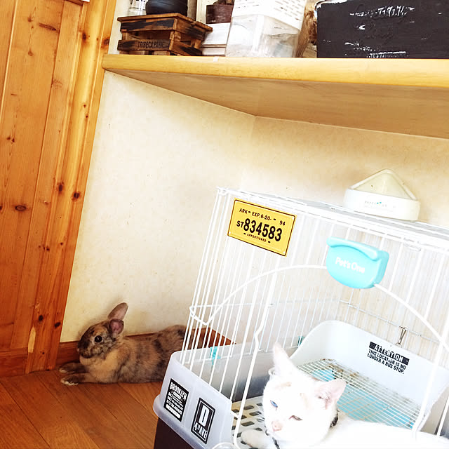 chocolatさんの実例写真