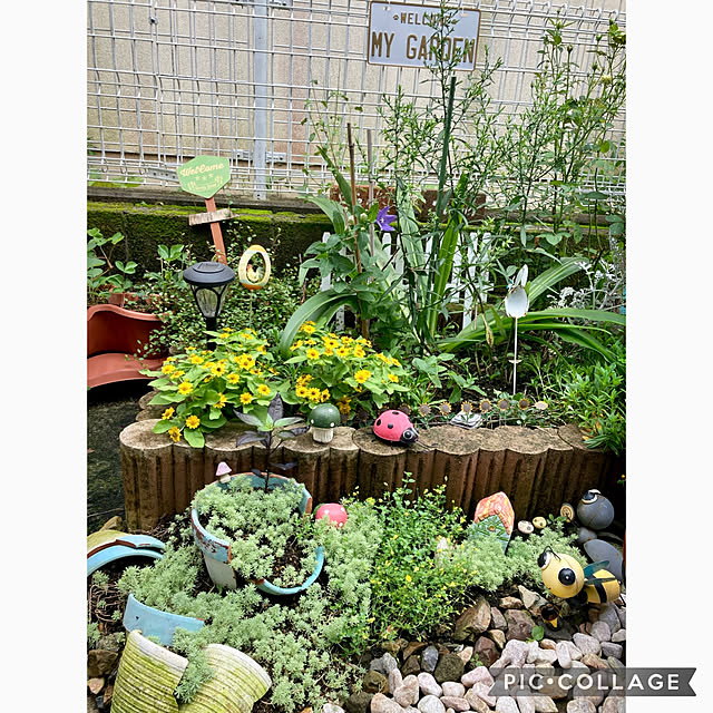 CoCo0617さんの実例写真