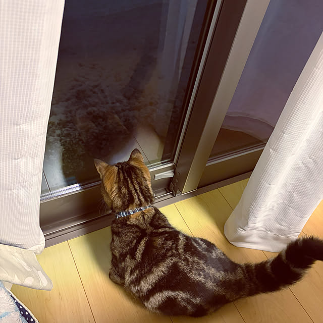 chiiさんの実例写真