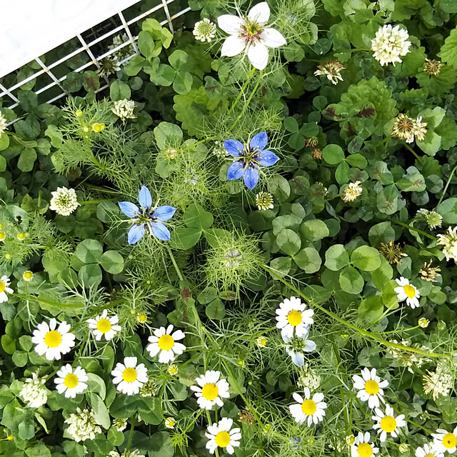 yukkoさんの実例写真