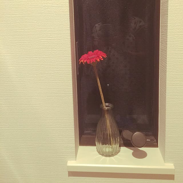 cherryさんの実例写真