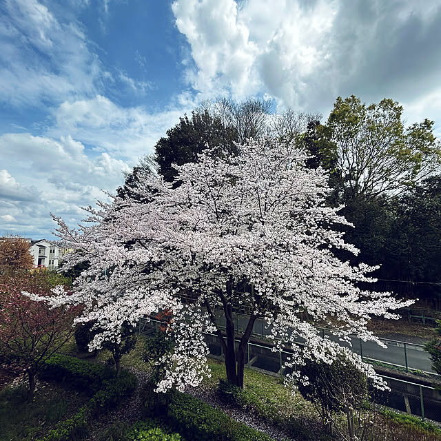 shabby666さんの実例写真