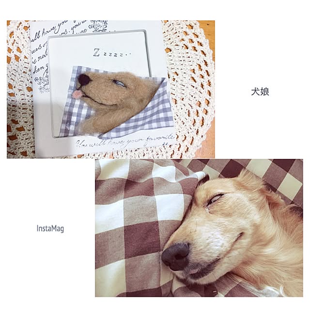 kusuttoさんの実例写真